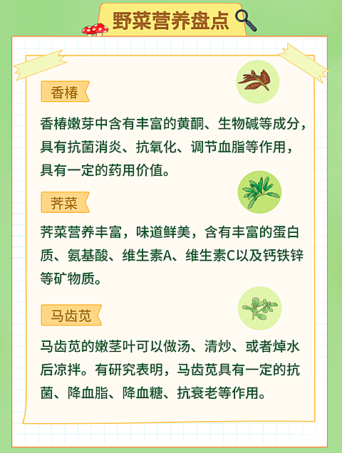 野菜知识科普分享清新手账风竖版海报