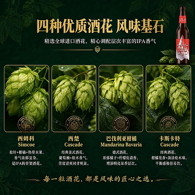IPA款四种酒花原料专页-精选四种优质进口酒花品种详解。本张使用【图1】IPA产品作为右上角点缀，参考【图2】的四种酒花布局，深墨绿高级质感风格。
[氛围/风格] 深墨绿高级质感，酒花微距真实摄影，四种酒花并列展示，匠心原料叙事，绿金配色。
[元素布局] 背景为深墨绿+半透明酒花剪影铺底；顶部居中大标题+副标题；中部四个等大圆形/方形酒花微距特写横向排列，分别对应四种酒花品种，每个下方有名称和风味说明；右上角点缀一小瓶IPA红标啤酒；底部一句金色引语；整体层次丰富，原料真实感强。
[光影质感] 酒花微距摄影真实自然，绿色花苞纹理清晰，有自然水珠和光泽，打光柔和通透，文字层清晰锐利。
[配色色系] 全局底色 #1B4332 深墨绿 + 酒花剪影底纹；主色金色 #D4A853 标题和酒花名；辅助色白色正文、酒花翠绿、标签红色点缀。
[视角构图] 正面平视，居中对称四列布局，阅读动线顶部标题 → 中部四种酒花特写 → 底部引语。
[文字版式] 顶部主标题「四种优质酒花 风味基石」金色粗体居中；副标题「精选全球进口酒花，精心调配层次丰富的IPA香气」白色细体居中；四种酒花分别为：「西姆科 Simcoe」金色名 + 「松针+柑橘+热带水果，香气浓郁复杂，是IPA的骨架酒花。」白色说明；「西楚 Cascade」金色名 + 「经典美式酒花，葡萄柚+松木香气，苦度清爽回甘明显。」白色说明；「巴伐利亚柑橘 Mandarina Bavaria」金色名 + 「德式酒花，浓郁橘子+柠檬皮清香，增添明亮果香层次。」白色说明；「卡斯卡特 Cascade」金色名 + 「经典酒花，柑橘花香+淡淡松木味，平衡感极佳易饮。」白色说明；右上角小瓶IPA作产品呼应；底部引语「每一粒酒花，都是风味的匠心之选。」金色斜体居中。
[比例分辨率] 1:1方图比例，4K分辨率，文字清晰可辨，高清画质。
[负向提示词] 酒花虚假不真实，水印，文字错乱，文字过小，颜色偏差，红色背景，卡通风格，瓶身变形。
