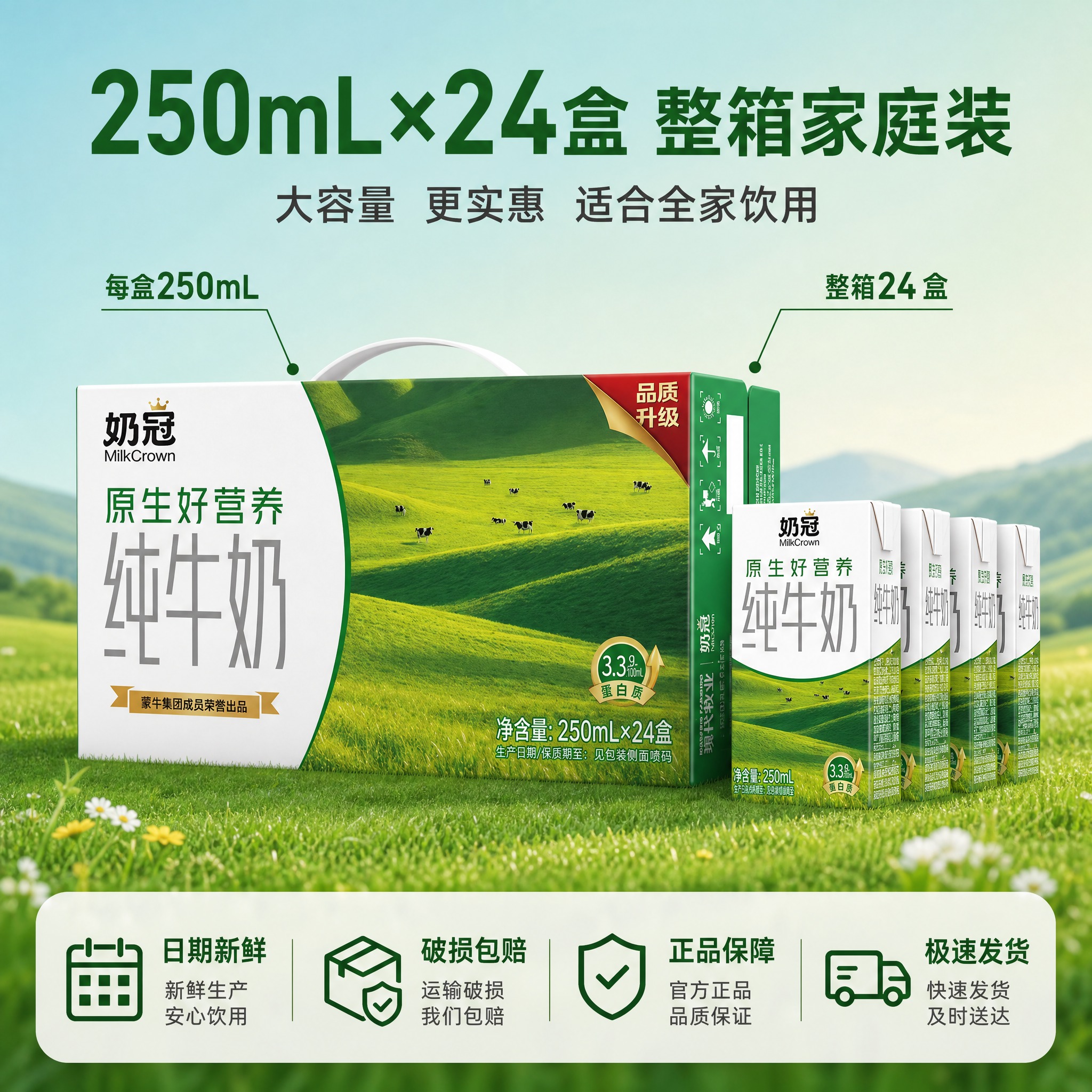 [主图-5] 整箱规格与服务承诺图，展示24盒整箱装规格与服务… - 图片创意预览