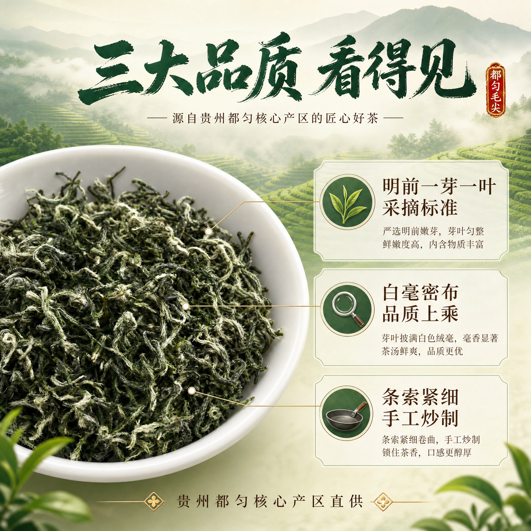 [主图-2] 都匀毛尖品质溯源图，展示干茶等级与产地优势，建立… - 图片创意预览