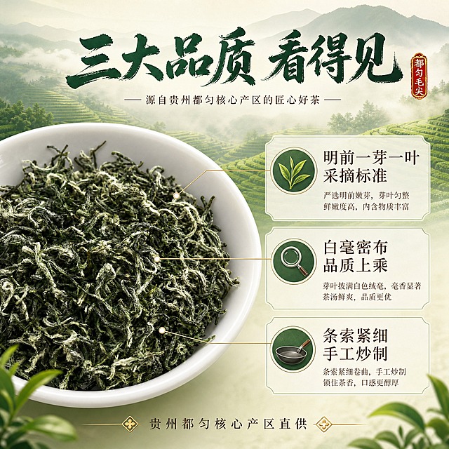 [主图-2] 都匀毛尖品质溯源图，展示干茶等级与产地优势，建立品质信任。
[统一基调] 国风自然风格，背景主色为深翠绿渐变至浅米白，标题字色为墨绿书法字，辅助字色为深棕色，强调色为金色印章。字体样式：主标题用粗笔刷书法体，厚重有飞白；辅助文案用细宋体。整体清新雅致，有贵州山水产地氛围。
[画面] 画面左侧为白瓷茶碗盛都匀毛尖干茶的特写（约占画面40%），茶叶白毫清晰。右侧以信息卡片形式展示三大品质要点，用极细引线从干茶不同部位引出：1. 从芽尖引出"明前一芽一叶 采摘标准"，配小图标嫩芽；2. 从茶身白毫引出"白毫密布 品质上乘"，配放大镜小图标；3. 从茶条卷曲形态引出"条索紧细 手工炒制"，配炒锅小图标。背景上半部分为虚化的贵州都匀高山茶园梯田风光，云雾缭绕。
[光影质感] 自然柔光，干茶部分主光清晰突出白毫质感，背景茶园柔和虚化，整体层次分明，商业摄影质感。
[配色] 翠绿、银白、茶园浅绿、墨绿文字、深棕辅助。
[文字版式] 顶部居中主标题"三大品质 看得见"（粗笔刷书法体，墨绿色）。右侧三个品质点为深棕色细宋体，标题稍大，说明文字更小，每个点前有绿色圆形图标。底部一行小字"贵州都匀核心产区直供"。文字均不遮挡干茶主体。
[输出要求] 1:1正方形，2048x2048，文字清晰可读，茶叶细节清晰，无错字，无水印，无平台Logo。负向：变形、模糊、杂乱、水印、错字。