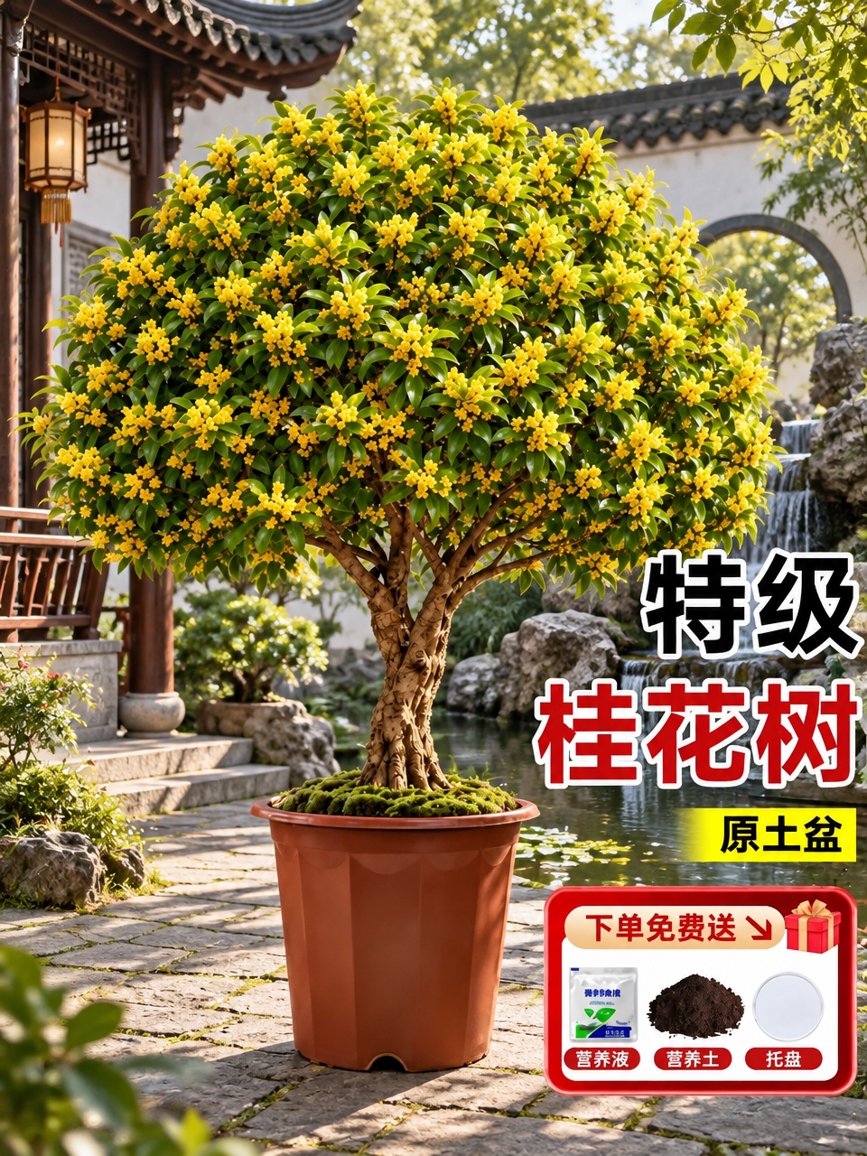 将背景替换为新中式雅致庭院场景，有古典园林建筑、假山流水、青石… - 图片创意预览