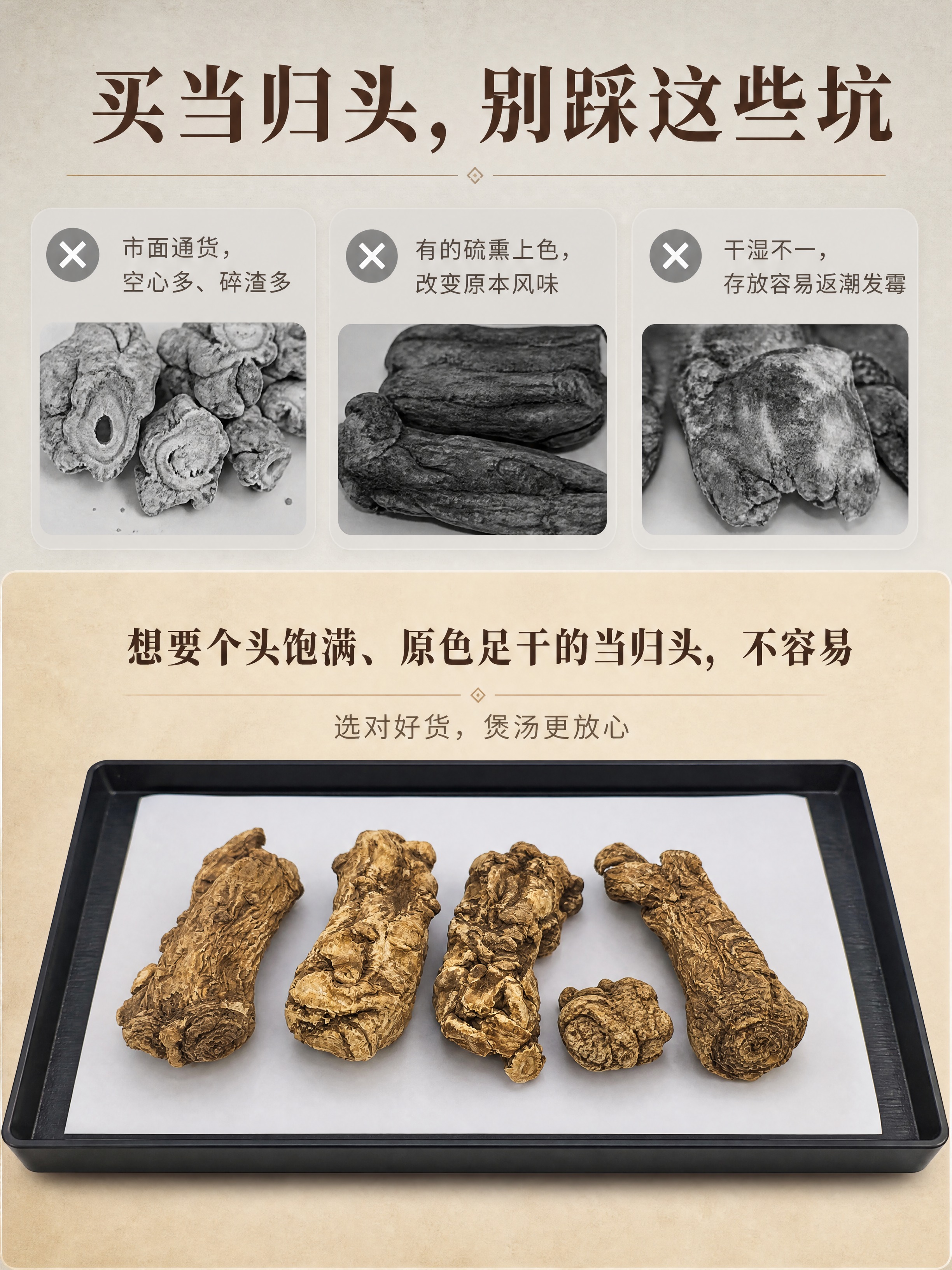 [商品] 使用【图4】甘肃岷县精品当归头，5支整支平铺展示；保… - 图片创意预览