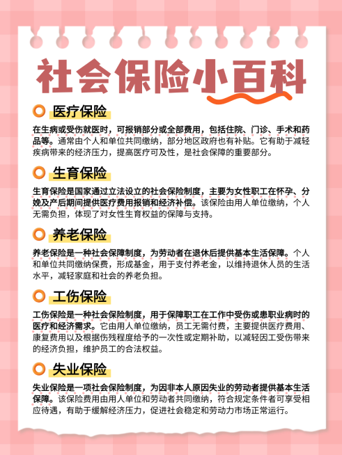 手账风社会保险小百科社保知识分享小红书配图预览效果