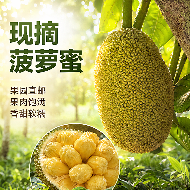 [单张主图] 新鲜海南菠萝蜜 高级氛围感主图 同时承担点击信任转化任务，突出新鲜度与食欲感
[参考比对] 用户提供三张实景图，参考产品挂果形态与开后果肉状态，结合视觉策略做商业电商主图设计
[画面主体] 画面右侧展示饱满完整的挂果菠萝蜜，同时嵌入开果后的黄肉局部特写作为画中画，保持菠萝蜜外观（外皮纹理、颜色、形状）与输入产品图绝对一致，果肉颜色金黄保持一致，杜绝任何变形和色差，精细化处理。商品主体占比严格控制在 55%左右，画面满屏无边框
[构图版式] 采用左文右物场景型版式，左侧保留大面积留白放主标题和卖点，产品放右侧放大，底部用果园草地真实场景承托，保持自然原生感
[场景元素] 背景为虚化的菠萝蜜果园，绿色草地和模糊树干营造原生产地氛围，左侧留白放置文字，画中画黄肉特写放置在主产品下方，点缀浅绿叶片装饰，背景自然虚化突出主体
[文案版式] 左上主标题：
现摘菠萝蜜
左下三行卖点：
果园直邮
果肉饱满
香甜软糯
文字放在自然留白处，不遮挡主体，主标题最大，卖点缩小，排版清晰
[光影质感] 自然暖阳逆光，从侧后方照射，勾勒菠萝蜜外皮轮廓，通透自然，果肉呈现水润光泽，光影柔和，背景虚化浅景深，突出主体产品，商业摄影高清质感，产品清晰真实，画面干净高级
[配色字体] 主色调为自然绿色和果肉暖黄色，字色采用深绿和暖棕，对比清晰。主标题用轻无衬线字体，字重偏粗，卖点字体纤细，留白合理，自然高级
[比例分辨率] 1:1 比例，2048*2048 分辨率，文字清晰可辨，超高清
[负向提示词] 变形，水印，错字，糊字，伪Logo，主体遮挡，背景杂乱，低清晰度，错误结构，文字错乱