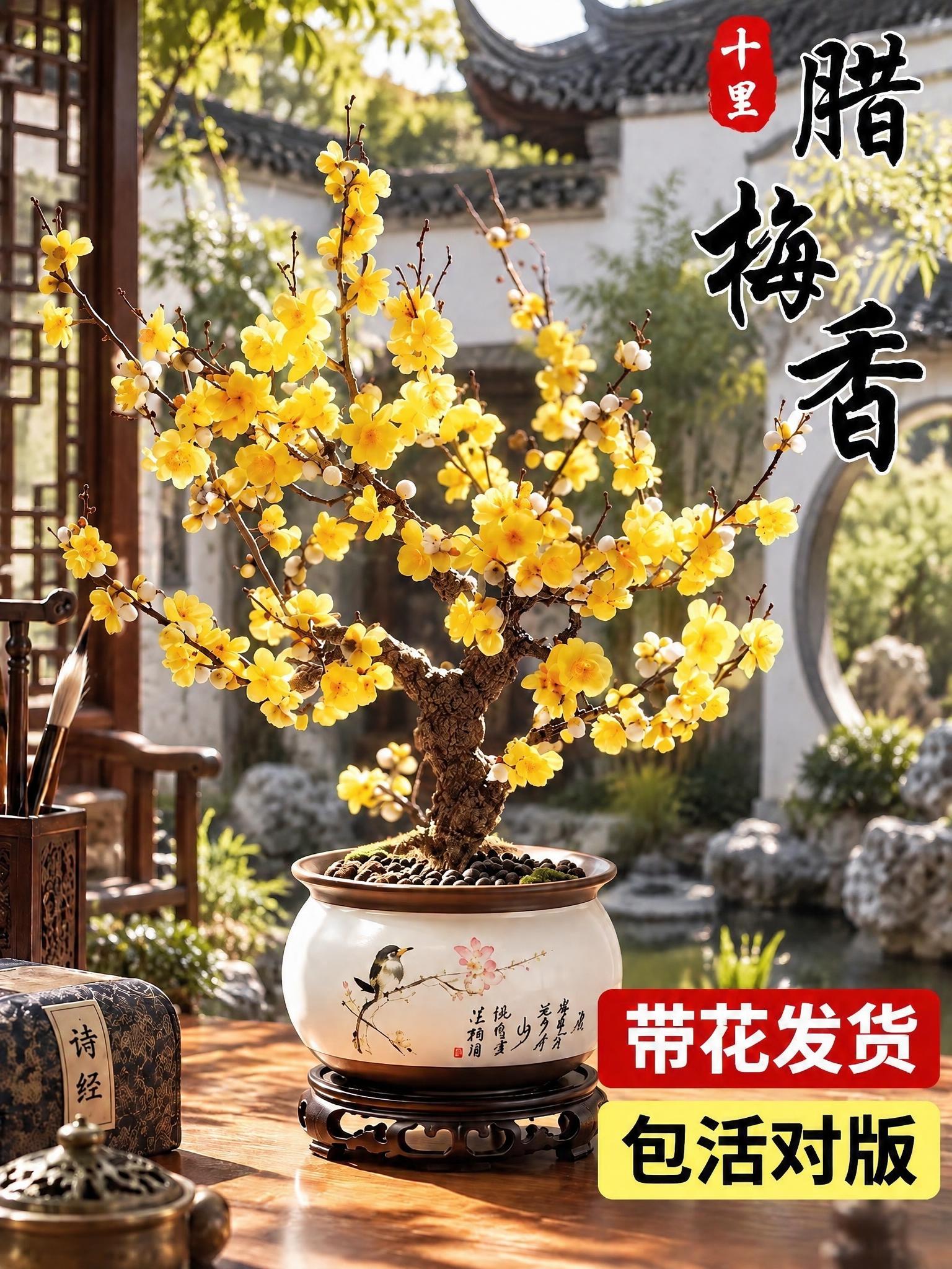 将背景替换为苏式庭院，保留腊梅盆栽、花盆、桌面摆件以及右上角的… - 图片创意预览