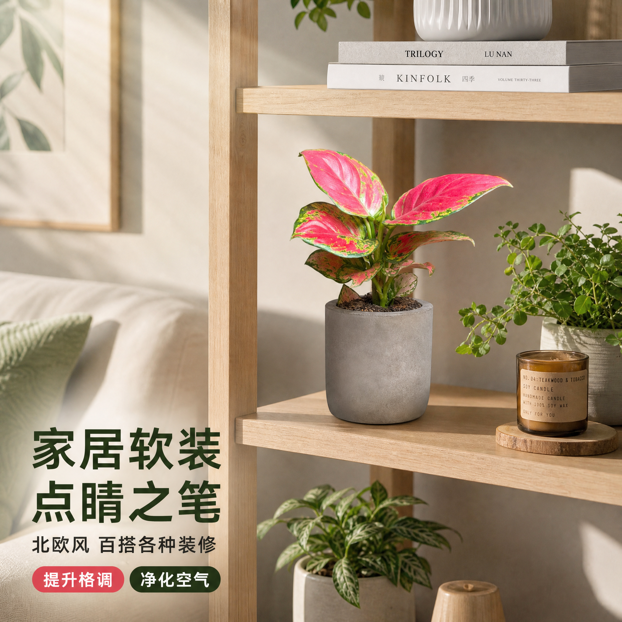 [主图-5] 家居客厅场景图 展示红宝石小苗放在客厅置物架的装… - 图片创意预览