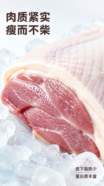 [第4屏] 肉质特写-新鲜鹅肉肌理展示。本屏使用【图1】参考，突出肉质细节。
[氛围/风格] 微距生鲜质感，真实肌理展示，突出鲜嫩食欲，商业美食摄影质感。
[元素布局] 特写切割开的鹅肉部分，展示肉质预览效果