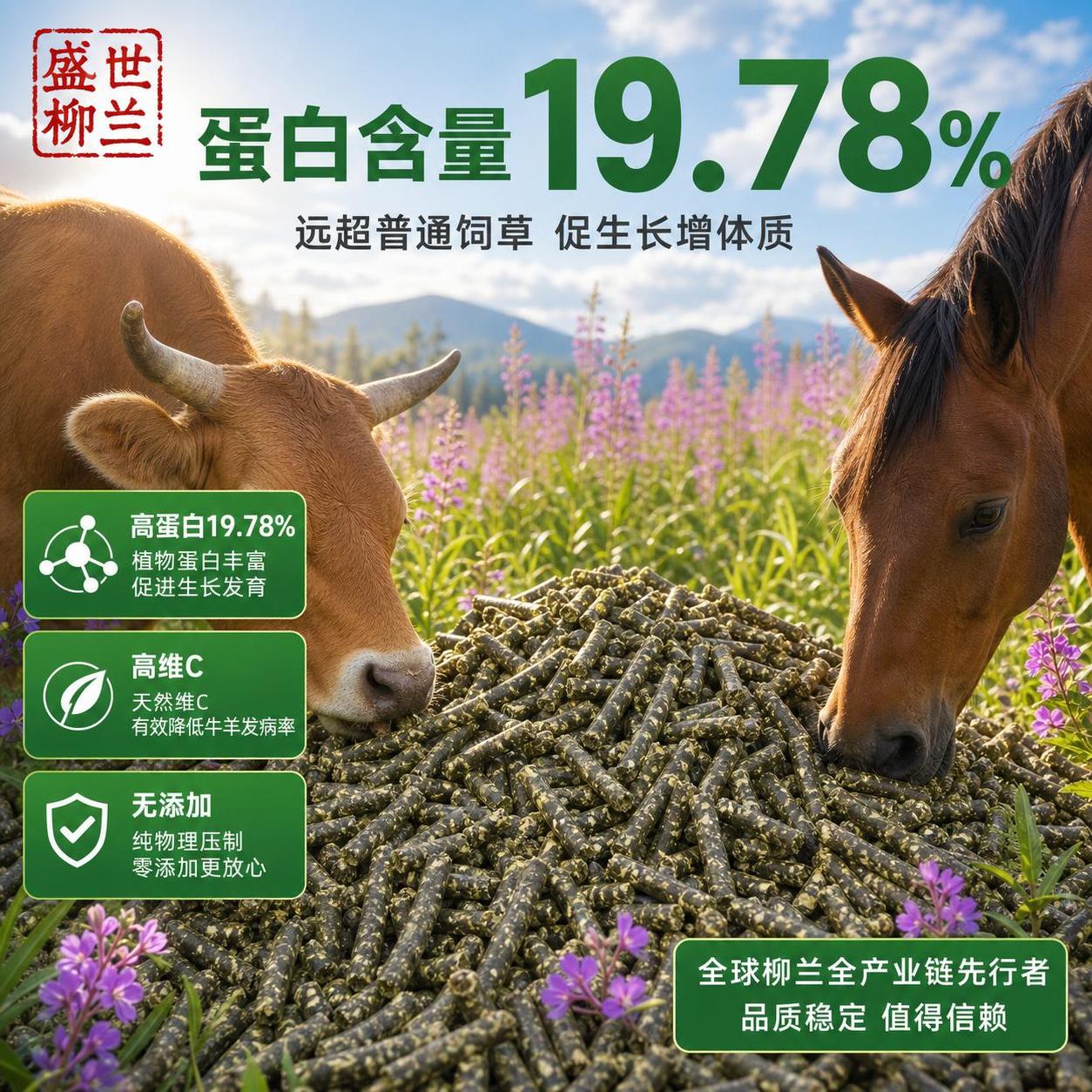 [主图-2] 柳兰原生颗粒核心营养卖点 高蛋白19.78% 高… - 图片创意预览