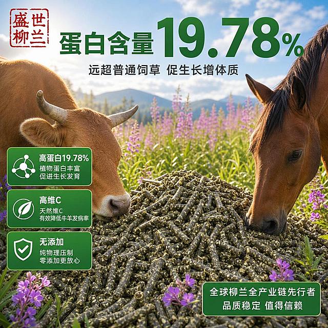 [主图-2] 柳兰原生颗粒核心营养卖点 高蛋白19.78% 高维C降低发病率。
[氛围风格] 专业农业品质感 数据可信 天然草饲；
[画质] 商业摄影质感 光线明亮通透 颗粒细节清晰 画面干净有层次。
[元素] 画面主体为大量深绿色圆柱状柳兰原生颗粒堆积成小山状 颗粒表面带有黄绿色植物纤维 纹理清晰 保持与输入颗粒图外观完全一致 杜绝变形色差；颗粒堆左侧有一头健壮的黄牛低头吃颗粒（仅展示牛的头部与颈部 毛色油亮 体态健康 动作自然） 体现适口性好牲畜爱吃；右侧有一匹马的侧面局部 同样在进食 强化牛羊马通用属性；背景为虚化的柳兰花田与牧场 紫色柳兰花盛开 蓝天白云 体现原料来源；画面中点缀几片新鲜柳兰绿叶与紫色花朵 增强原生植物联想。商品主体（颗粒堆）占比约60% 画面满屏无边框。
[光影] 自然暖阳逆光 从花田方向洒向颗粒堆 颗粒边缘有透亮高光 表面纹理细腻 牛马毛发有光泽 整体明亮温暖 暗部有柔和补光 通透有层次。
[配色] 主色草木绿 辅色牧场暖棕与天空蓝 强调色柳兰花粉紫 与首图色板统一。
[视角构图] 略微俯视角度 颗粒堆为视觉中心 牛马在两侧形成进食场景 花田为远景背景 层次分明 景深由近及远。
[文字版式] 左上角放置'盛世柳兰'红色印章Logo。上部居中主标题粗黑体'蛋白含量19.78%' 深绿色超大号字 数字放大突出；下方一行辅助细黑体'远超普通饲草 促生长增体质' 深灰色。左中部用三个绿色圆角卡片竖向排列：卡片一'高蛋白19.78%' 旁注'植物蛋白丰富 促进生长发育'；卡片二'高维C' 旁注'天然维C 有效降低牛羊发病率'；卡片三'无添加' 旁注'纯物理压制 零添加更放心'。右下角绿色圆角卡片 内白字两行'全球柳兰全产业链先行者' '品质稳定 值得信赖'。文字全部横排 清晰可读 不遮挡颗粒主体。
[输出要求] 1:1比例 文字清晰锐利 超高清商业摄影质感。
[负向提示词] 变形 文字错乱 产品模糊 背景杂乱 水印 电商平台Logo 多余的手 人物 动物畸形。