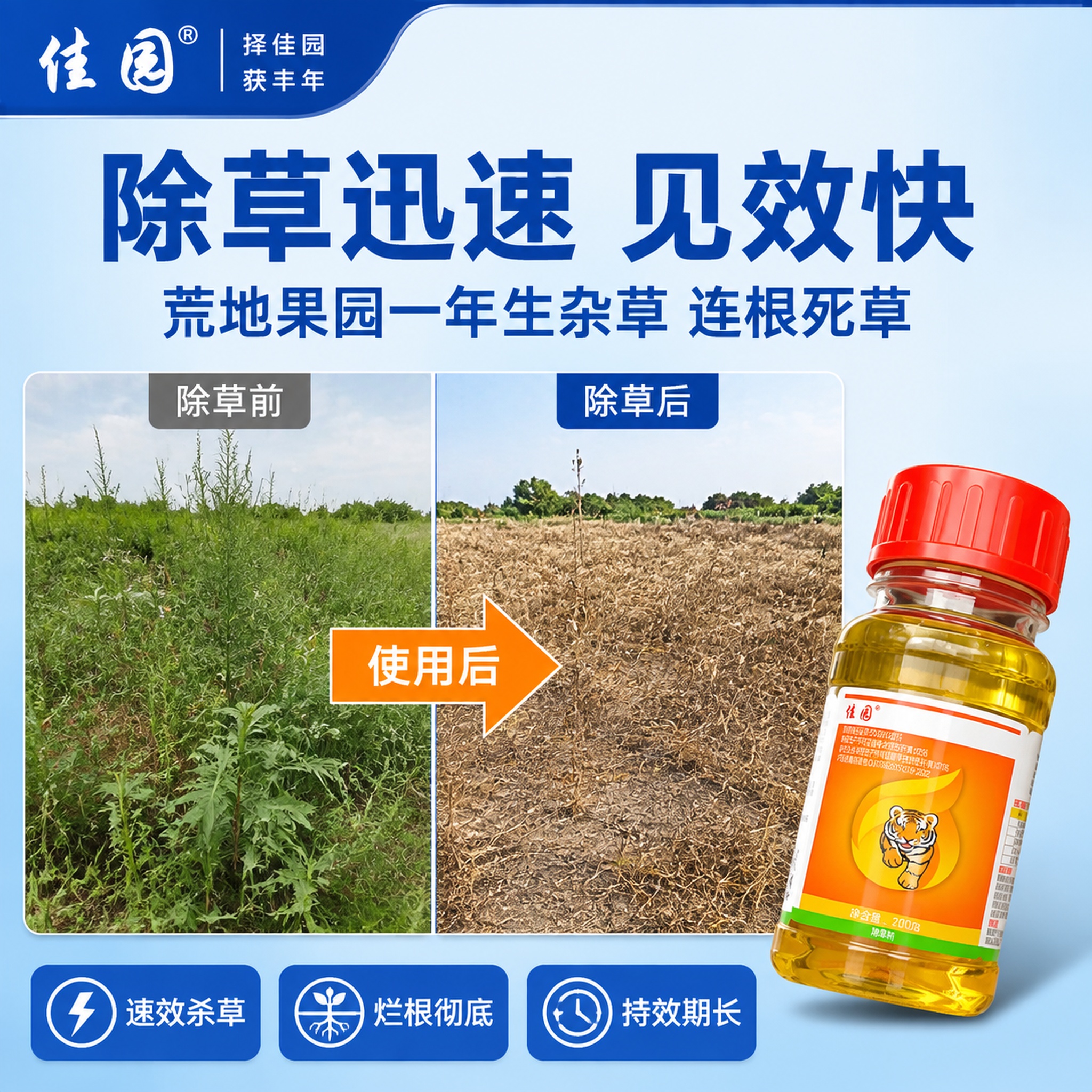 拼多多风格电商主图第二张，核心效果证明图。顶部蓝色品牌栏延续首… - 图片创意预览