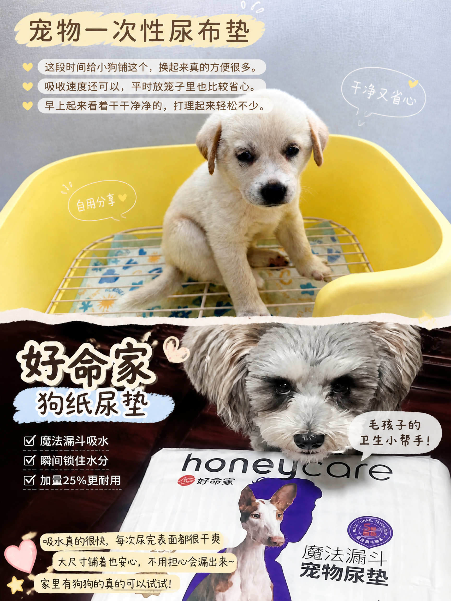 将两张狗狗相关图片拼接成一张3:4竖版拼图，上下排列，上方为奶… - 图片创意预览