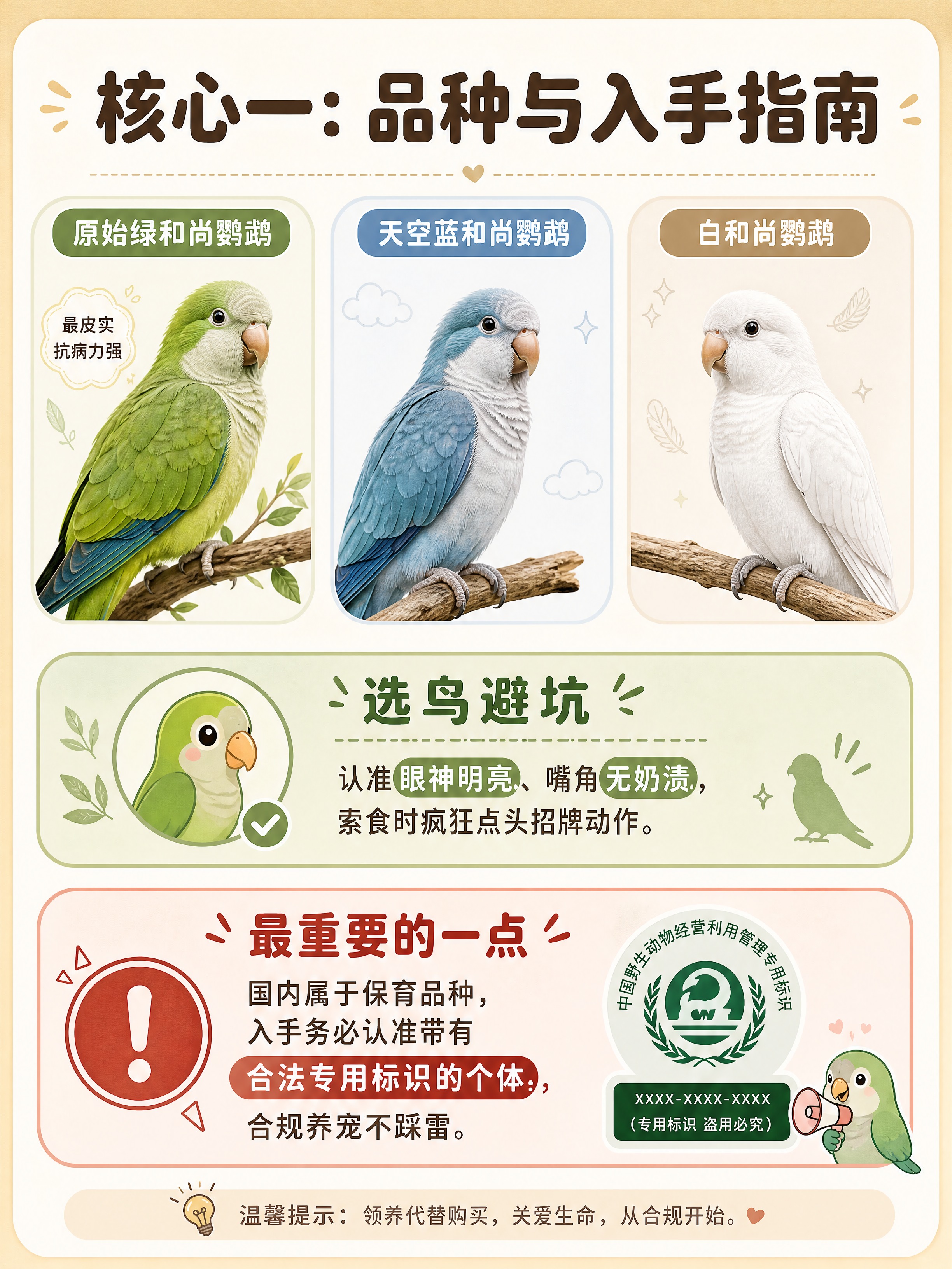 小红书科普图文内页，温暖治愈，米白浅棕底色，圆角卡片分区，干货… - 图片创意预览