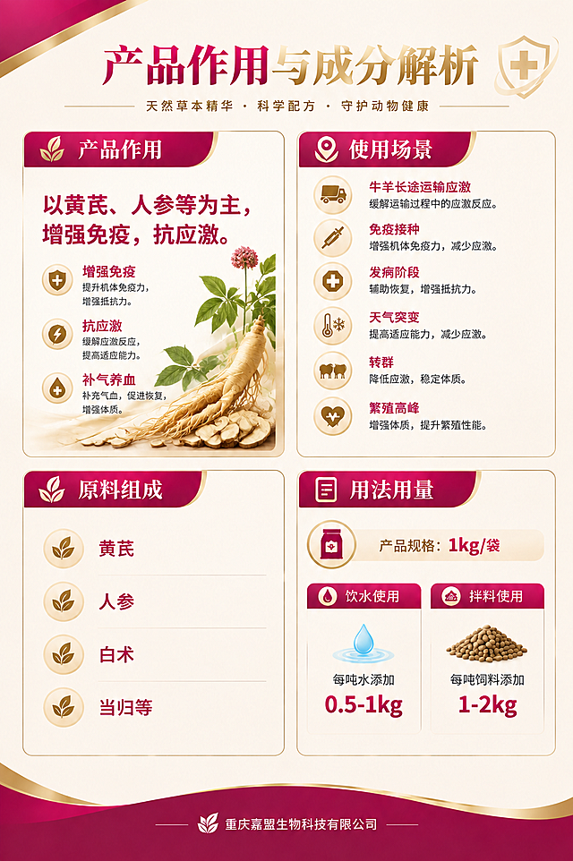优化左上角"产品作用"板块的排版，解决内容太空的问题：
1. 在板块内加入精美的草本原料图（黄芪、人参等天然植物药材的写实插画/摄影图），放在文字下方或侧边，与文字和谐搭配
2. 可以补充2-3个具体作用点（如"增强免疫""抗应激""补气养血"等），用小图标+短句的形式丰富内容，让板块更饱满
3. 保持整体简单大气的风格，与其他三个板块视觉统一，不改变其他板块（使用场景、原料组成、用法用量）的任何内容和排版
4. 保持玫红+金色的主色调不变，整体协调美观
