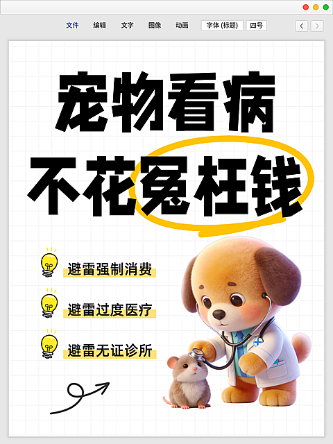 萌宠宠物看病医疗避坑指南干货爆款大字吸睛小红书封面