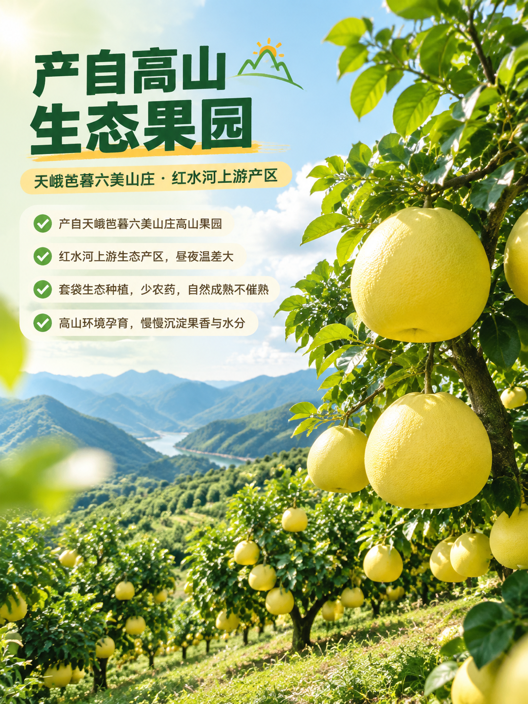 [商品] 使用【图1】高山果园全景蜜柚树；保留成片柚树结构、蜜… - 图片创意预览