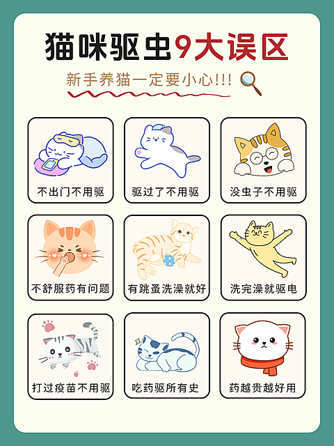 猫咪驱虫问题分享误区科普小红书封面