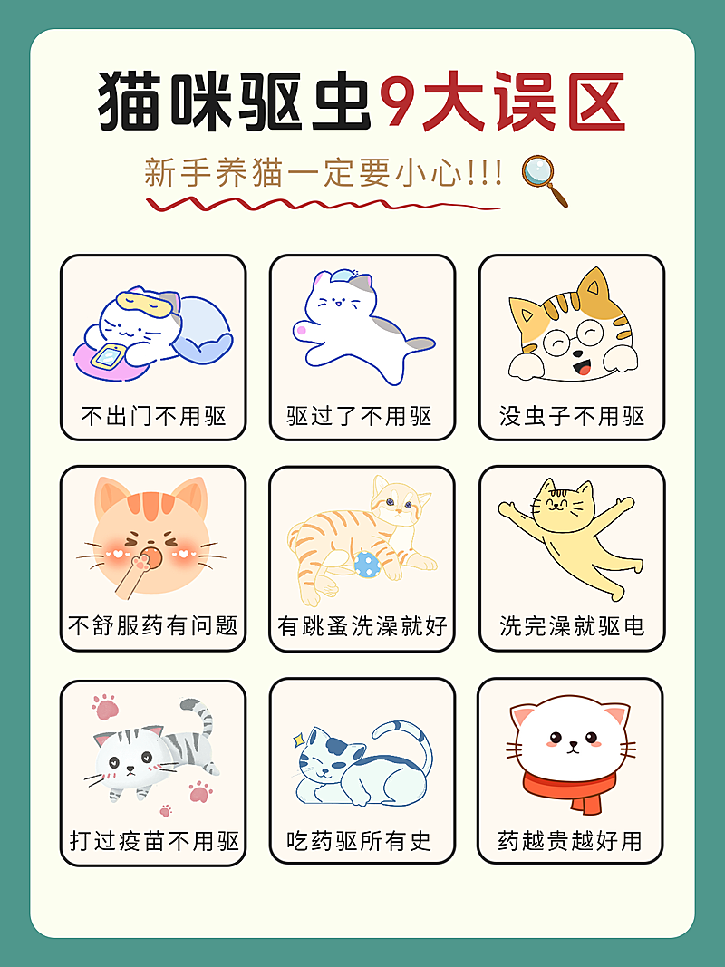 猫咪驱虫问题分享误区科普小红书封面