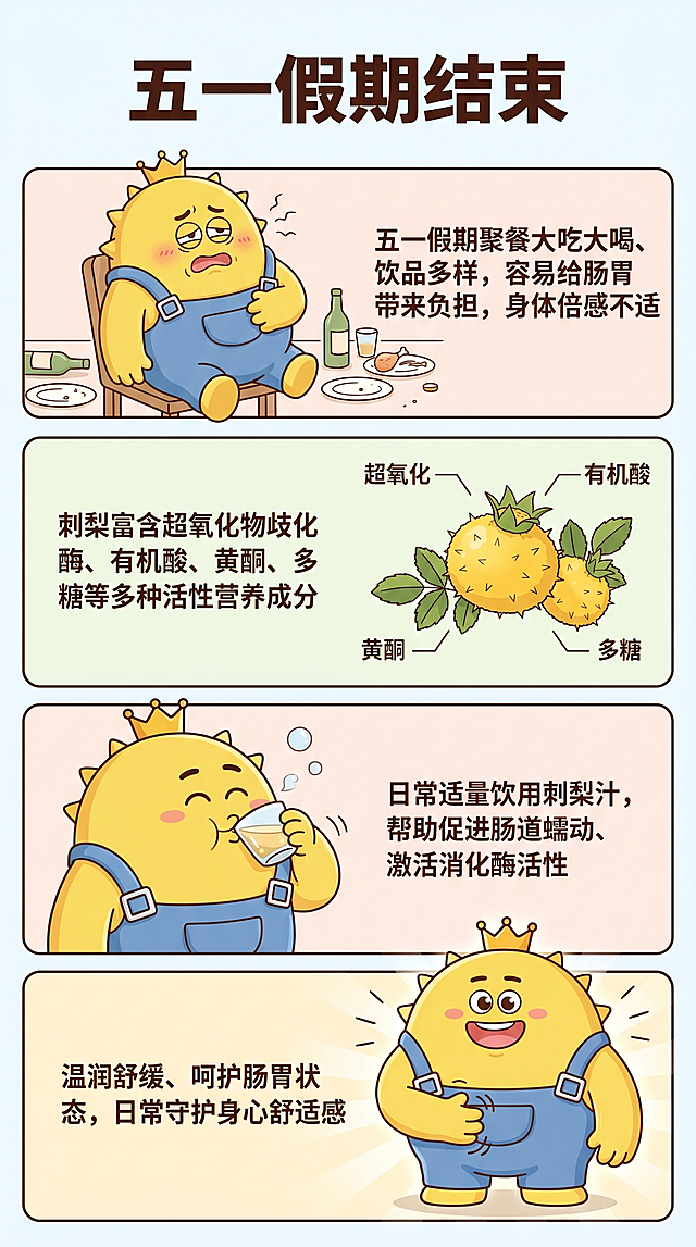 9:16竖版长条长海报，简约清新卡通风，使用同一款黄色戴皇冠蓝色背带裤的可爱品牌IP形象，四格分段排版，画风统一、色彩柔和，版式干净整洁、文字醒目，浅色系简约背景。顶部标题文字"五一假期结束"，第一格：IP形象坐姿慵懒、捂着肚子，神情腹胀不适、微微难受，呈现聚餐大吃大喝后肠胃不舒服的状态，配文"五一假期聚餐大吃大喝、饮品多样，容易给肠胃带来负担，身体倍感不适"。第二格：清新刺梨鲜果实物插画，搭配简约植物元素科普排版，配文"刺梨富含超氧化物歧化酶、有机酸、黄酮、多糖等多种活性营养成分"。第三格：IP形象悠闲手持刺梨原液小口饮用，神态放松自然，配文"日常适量饮用刺梨汁，帮助促进肠道蠕动、激活消化酶活性"。第四格：IP形象一脸轻松，单手轻抚腹部，气色舒适元气满满，配文"温润舒缓、呵护肠胃状态，日常守护身心舒适感"。参考IP形象和刺梨实物图片，保持IP风格统一