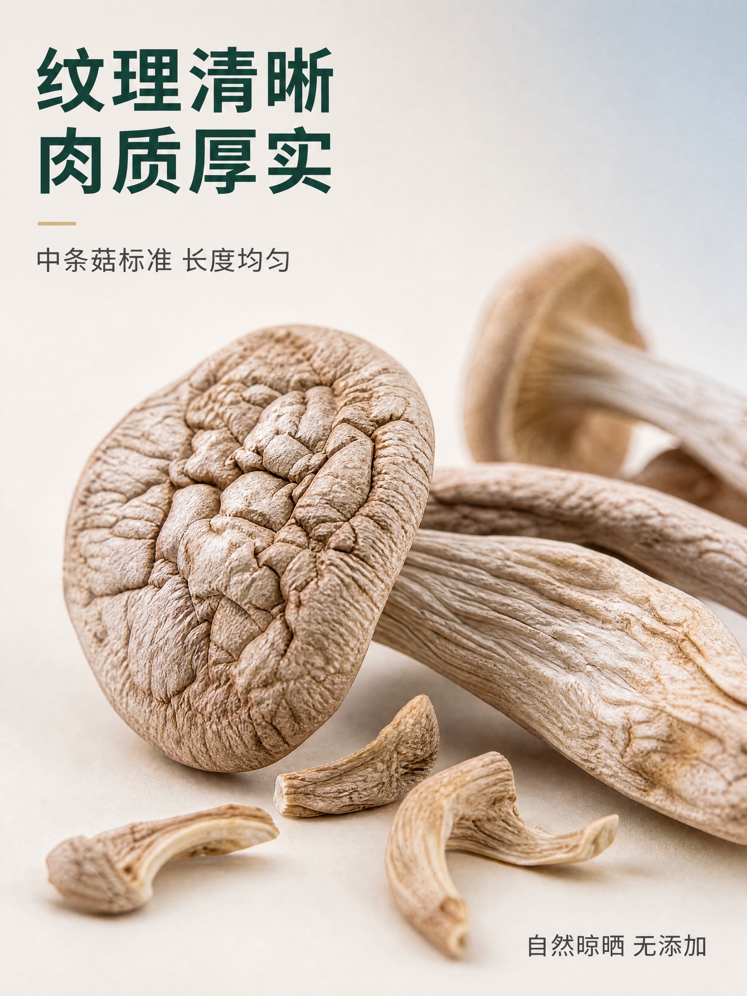 [商品] 使用【图1】中的鹿茸菇微距特写形态；保留菌菇自然灰褐… - 图片创意预览