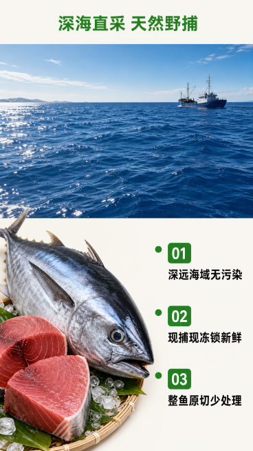 [第2屏] 产地优势展示-深海野捕金枪鱼核心原料屏。  
[氛围/风格] 自然清新产地风格，深蓝色海洋渐变背景，真实摄影质感，突出天然纯净原料优势。  
[元素布局] 上半部分放置深蓝色深海海面实景图预览效果