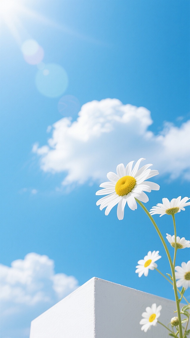 明亮通透的摄影风格，纯净的蔚蓝色天空占据画面大部分空间，点缀着形态自然、边缘柔和的白色积云，阳光从左上角洒落形成淡淡的光晕效果，画面底部有白色立方体结构，几朵白色小雏菊（中心黄色）从右下角伸出，花瓣舒展，花茎纤细，整体构图简洁清新，色彩明快，营造出宁静、治愈、充满春日气息的氛围，光线柔和且具有通透感，无文字和装饰元素。