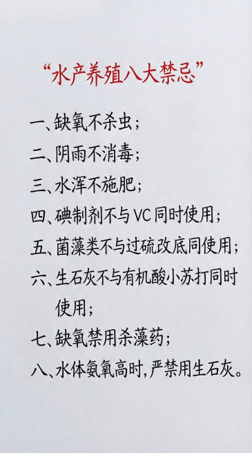 预览效果