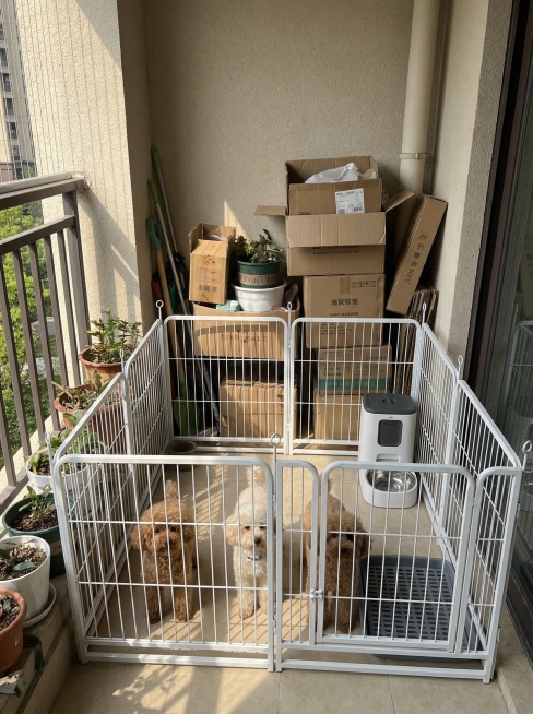 白色宠物围栏放在用户家阳台角落，日常居家堆放杂物旁边，手机随手拍真实用户评价，普通生活场景，自然太阳光，真实不夸张，原生质感，保持产品结构不变，3:4比例，2K分辨率预览效果