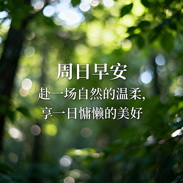 自然森系风，森绿背景，模糊树叶光影效果，林间光斑点缀，文字居中森系字体：周日早安 赴一场自然的温柔，享一日慵懒的美好，清新自然，氛围感，户外森系，方形配图