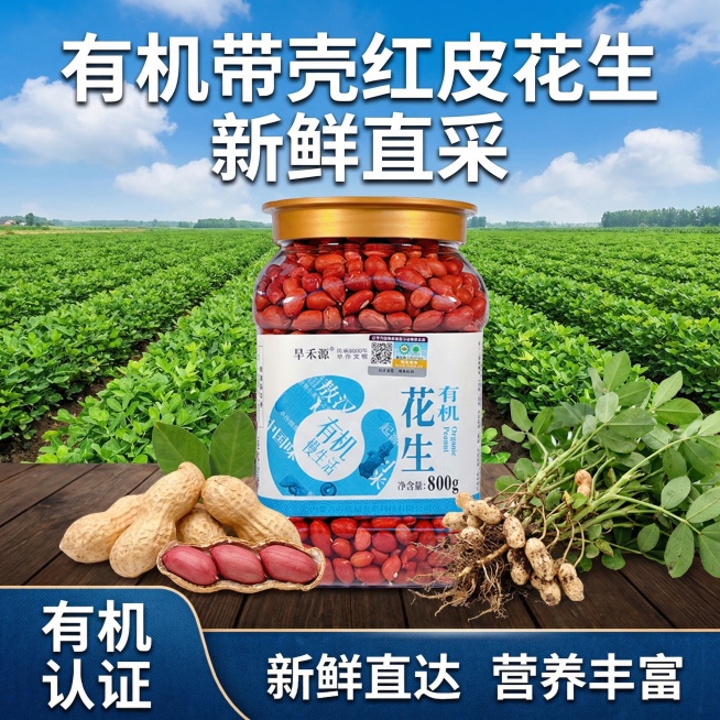 对话图片




帮我生成6张电商主图,室外背景是花生种植田园,产品放在桌子上,桌子上摆放着拔出来的花生和枝叶,花生是摘下来的带壳花生,有个带壳剥开后四颗并排的红皮花生整体预览效果