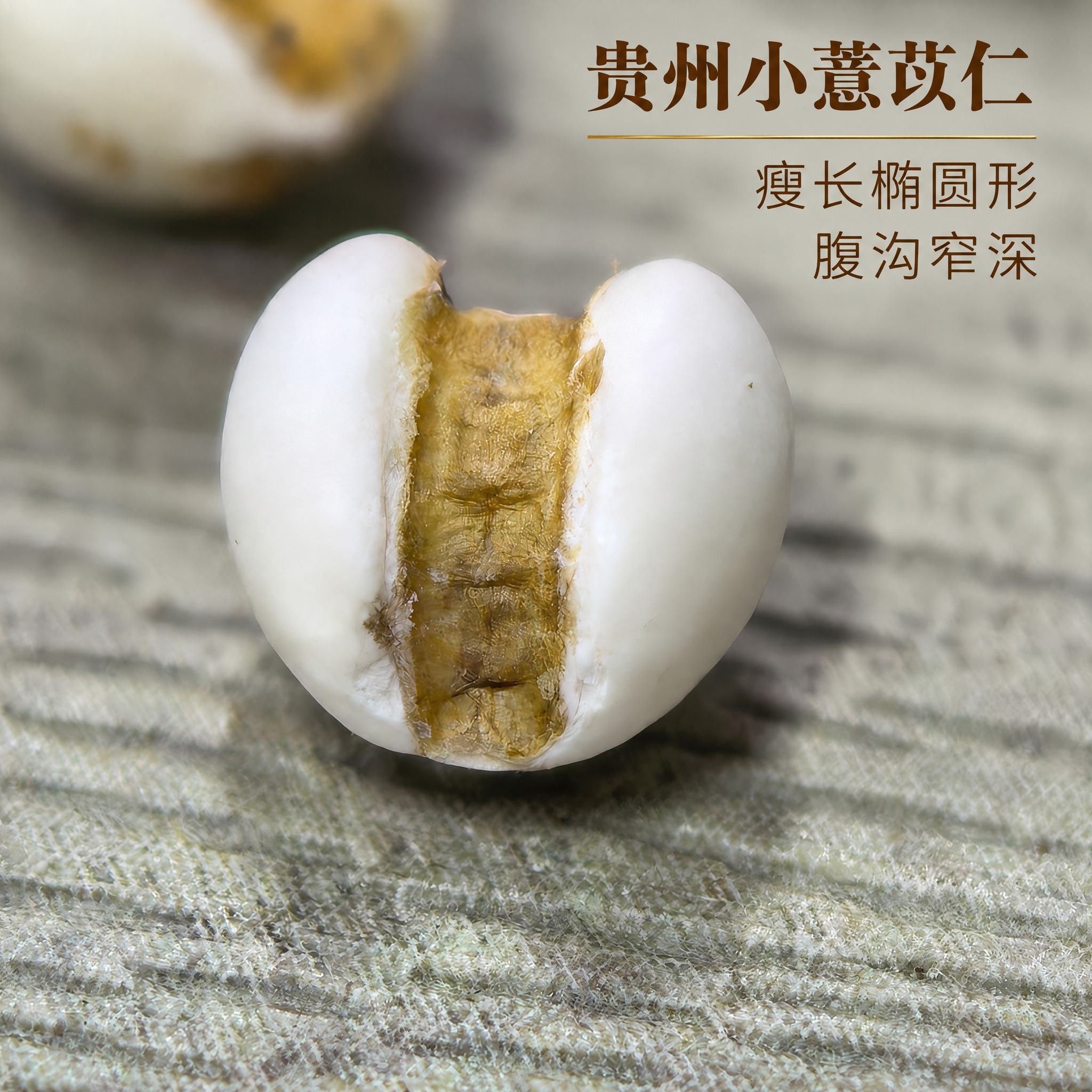以上传的薏苡仁素材为基底制作中药材电商主图。严格保留原画面：画… - 图片创意预览