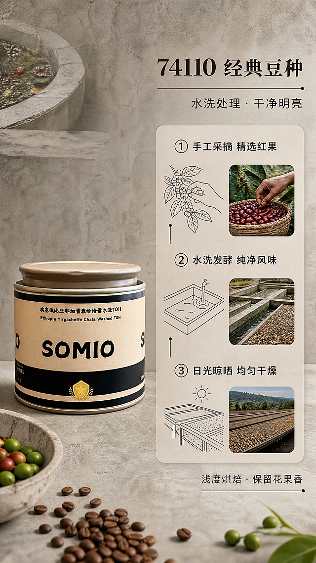 [商品] 使用【图1】松晓SOMIO耶加雪菲恰恰蕾咖啡豆罐；保留罐体所有结构、颜色、Logo和标签文字；产品置于画面左侧中部，占画面约30%。
[画面] 目标：豆种与处理法工艺页，讲透品质基因；构图：左产品右信息，左右分栏；右侧为水洗处理法工艺三步示意（采摘筛选-水洗发酵-晾晒分级），用极简线条插画+实拍小图组合呈现；背景为暖灰色水泥肌理，散落少量绿色咖啡鲜果和水洗槽局部特写小图；三层视觉：背景水泥肌理、中层工艺卡片、前景产品罐与咖啡豆。
[视觉] 套系策略：风格=水泥侘寂风高级商业摄影，克制留白，自然光影，质感肌理；标题字=日式衬线粗体，笔画克制有温度；正文字=现代简洁无衬线体；主色=暖灰水泥色+米杏色；背景延展=基于暖灰水泥做深浅肌理、微水泥质感、同色系渐变；强调色=深炭黑，仅用于小面积图标、引线和重点文字；标题色=深炭黑；正文色=中暖灰；组件=细线引线、米杏色圆角信息卡、极简icon；光影=左前侧45度柔和自然光，软阴影，低对比度高级灰调。
[文字] 右上主标题「74110 经典豆种」，副标题「水洗处理 · 干净明亮」；右侧纵向排列3个工艺步骤：「① 手工采摘 精选红果」「② 水洗发酵 纯净风味」「③ 日光晾晒 均匀干燥」；底部小字补充「浅度烘焙 · 保留花果香」；所有文字横排，右对齐排版，不遮挡产品罐。
[规格] 图片比例9:16竖版，4K分辨率，medium质量；避免变形、错字、文字过小、冷蓝调、高饱和、包装文字错乱。