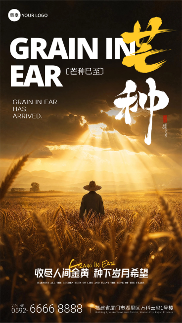 芒种节气祝福光影实景感通用竖版海报预览效果