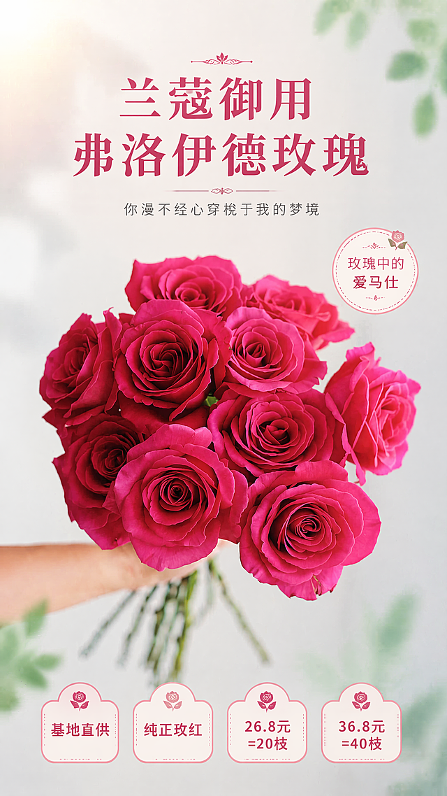 小清新风格弗洛伊德玫瑰销售电商海报，9:16比例，写实商业摄影，整体版式精美，构图分区清晰，100%还原上传图片中弗洛伊德玫瑰的外形、颜色和花型，玫瑰作为主体位于画面中心位置。
画面需要包含以下清晰文案，文字不遮挡主体：
主标题"兰蔻御用 弗洛伊德玫瑰"
副标题"你漫不经心穿梭于我的梦境"
装饰文案"玫瑰中的爱马仕"
卖点标签："基地直供" "纯正玫红" "26.8元=20枝" "36.8元=40枝"
背景为浅色系干净渐变背景，搭配少量虚化绿叶点缀，顶部自然柔光，整体氛围清新柔和，背景避开玫瑰主色，层次分明，文字清晰可读，符合国内电商促销海报规范