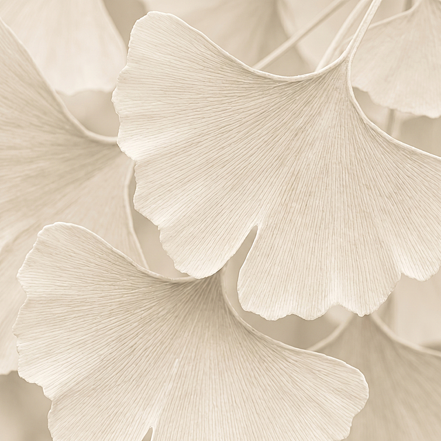 将背景改为银杏叶纹理质感，去掉图片中所有文字和植物标志，保留原有简约浅色调风格，尺寸比例调整为1:1