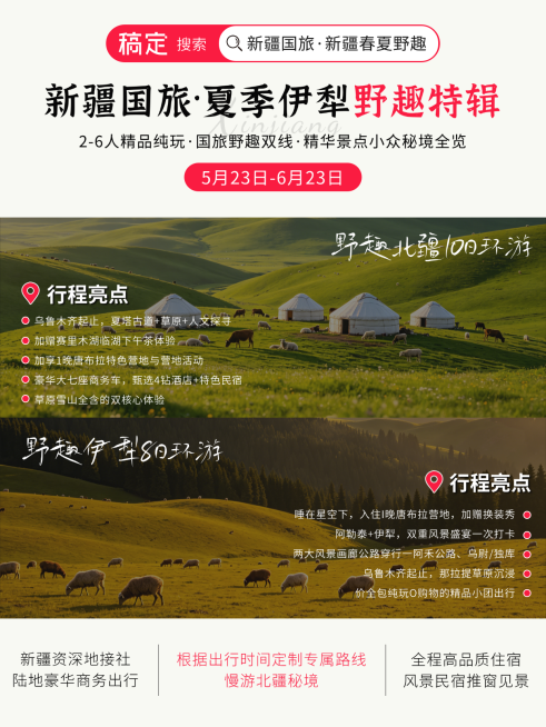 夏季新疆旅游团建攻略分享小红书封面预览效果