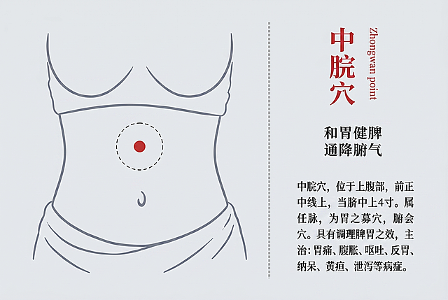 参考示例图的简约线条中医穴位插画风格，绘制人体腹部，标注出中脘穴，保留右侧文案排版：红色大字标题“中脘穴”，功效“和胃健脾 通降腑气”，介绍文字说明中脘穴位置与主治，浅灰色背景，整体布局和参考图一致，红色点标注穴位位置