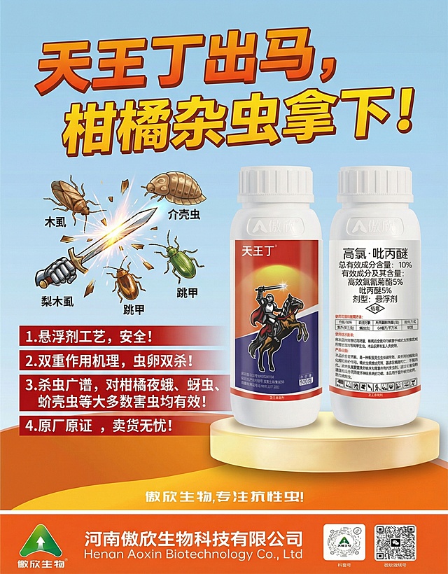 将图2的产品图放置在图1的金色展示台中央，添加特色设计的产品介绍文字：1.悬浮剂工艺，安全！2.双重作用机理，虫卵双杀！3.杀虫广谱，对柑橘夜蛾、蚜虫、蚧壳虫等大多数害虫均有效！4.原厂原证 ，卖货无忧，添加宣传语“天王丁出马，柑橘杂虫拿下！”，添加“木虱、介壳虫、梨木虱、跳甲”被一剑斩成两半的画面，文字设计突出醒目，符合农药产品的宣传风格