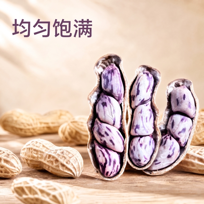 预览效果