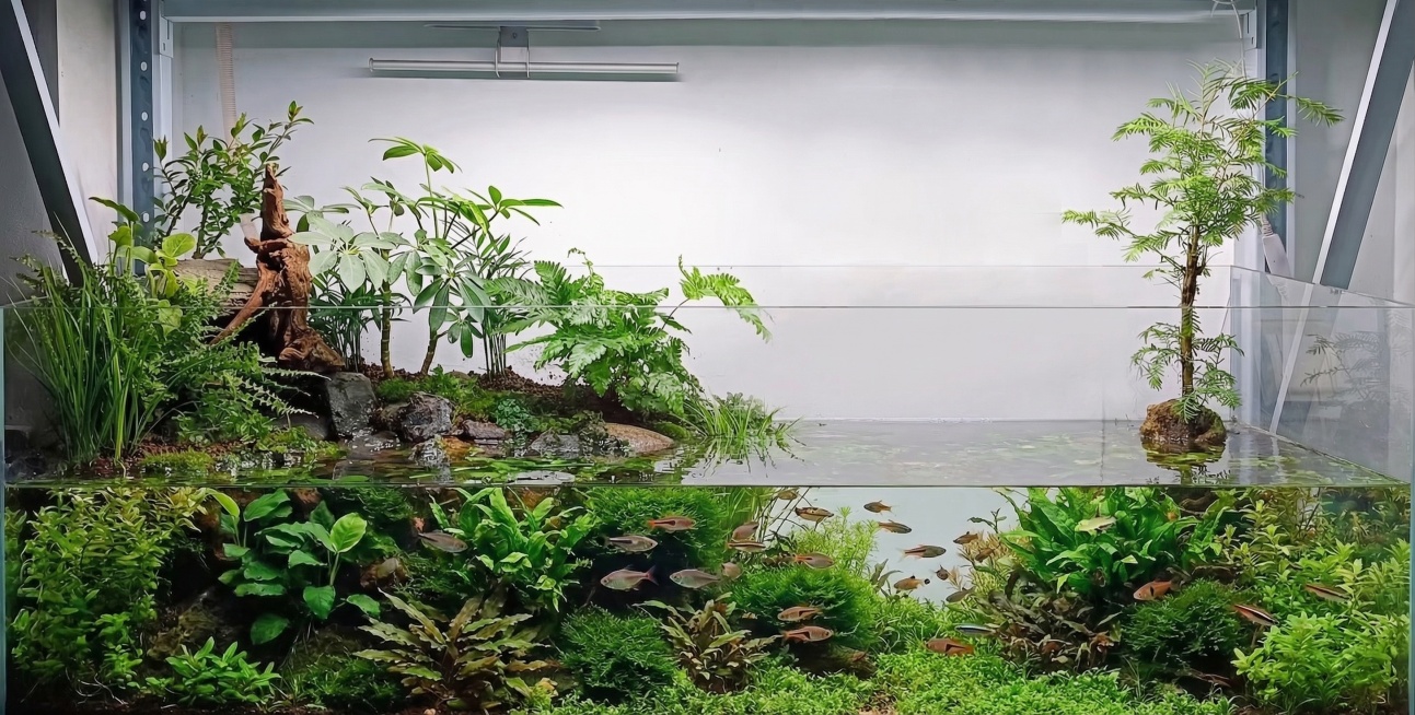 保留原有的岸上造景，包括枯木、各类绿植和沉木，将下方水下部分修改为布置了丰富茂盛的水草，水体清澈透亮，有小型鱼类在水草间游动，保持整体自然生态的鱼缸造景风格，不要改变岸上景观的结构和样貌预览效果