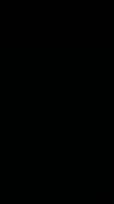 一张纯黑色的图片，无任何其他图案文字内容，抖音竖屏尺寸，整体完全为黑色纯色背景预览效果