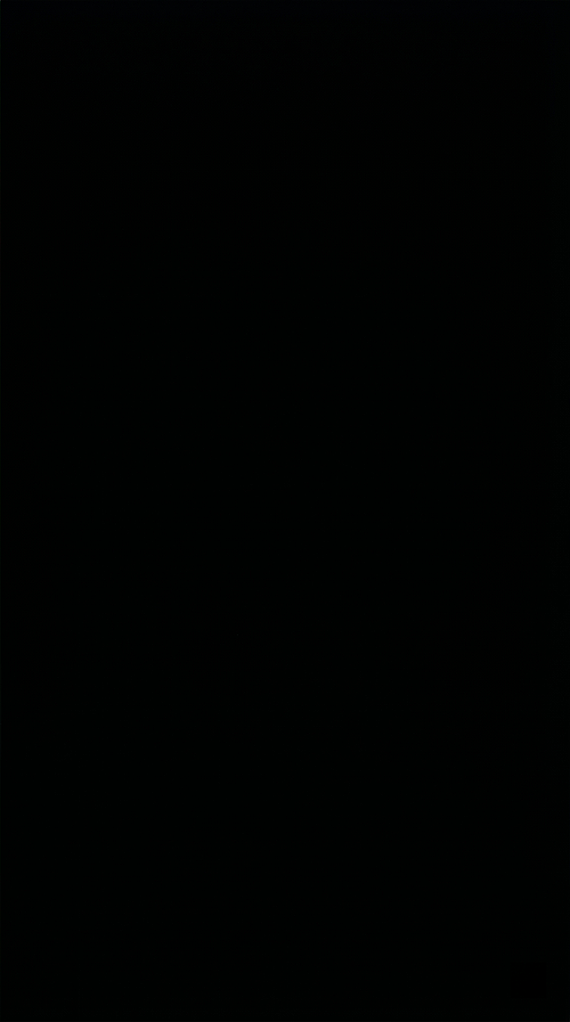 一张纯黑色的图片，无任何其他图案文字内容，抖音竖屏尺寸，整体完全为黑色纯色背景