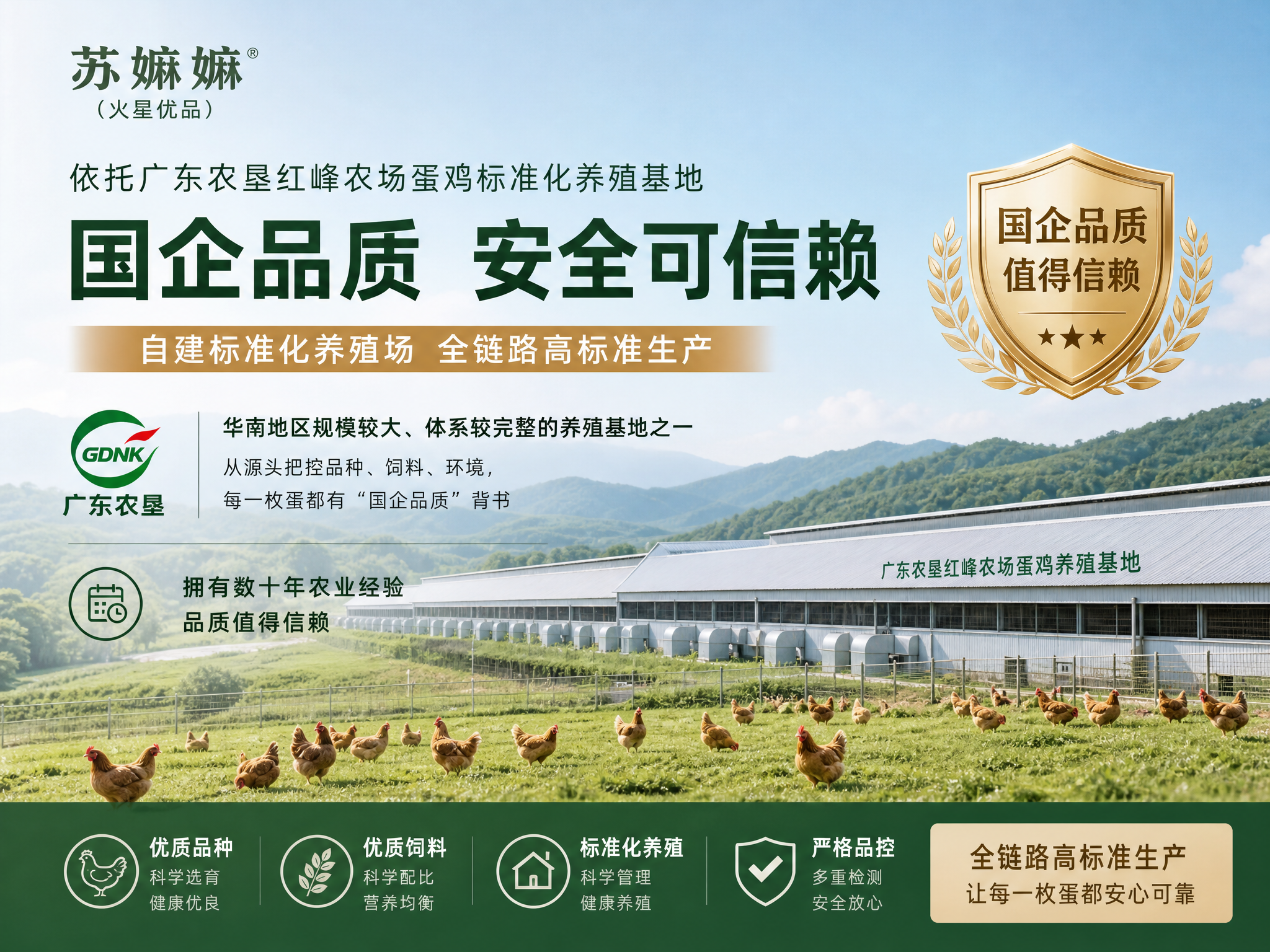 品牌基础背书简约宣传图，苏嫲嫲（火星优品）品牌，依托广东农垦红… - 图片创意预览