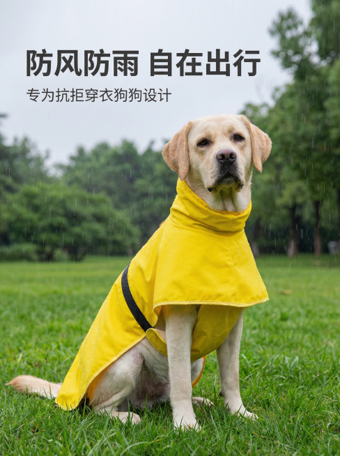 [主图 1] 宠物雨衣户外场景主图
[氛围/风格] 户外雨天实景风格，自然真实，突出产品实用性。
[画面元素] 商业摄影质感、光线柔和通透、产品清晰真实、画面干净高级。拉布拉多犬穿着黄色宠物雨衣坐在公预览效果