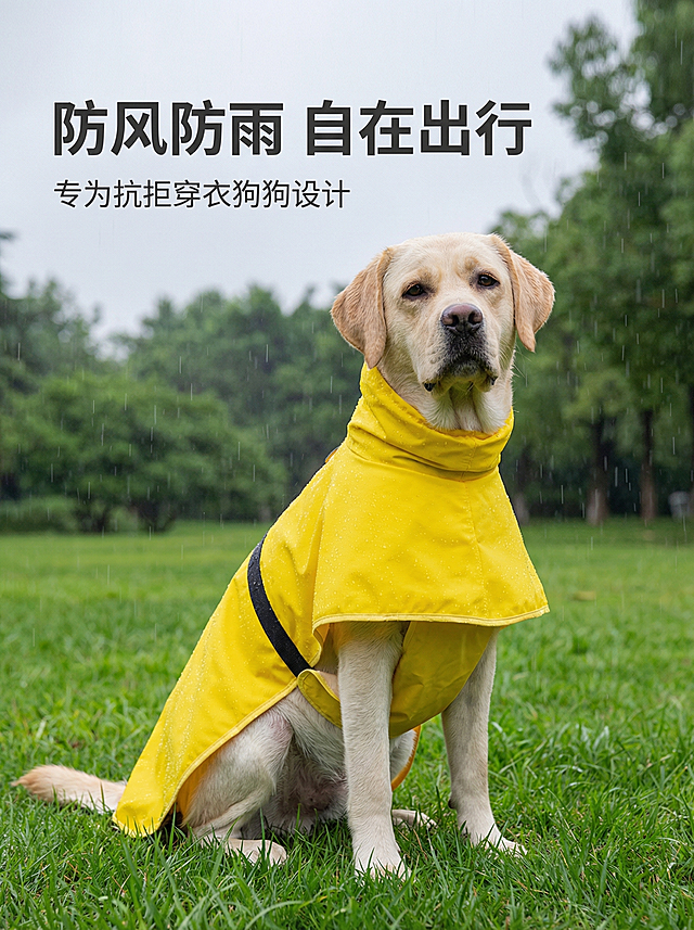 [主图 1] 宠物雨衣户外场景主图
[氛围/风格] 户外雨天实景风格，自然真实，突出产品实用性。
[画面元素] 商业摄影质感、光线柔和通透、产品清晰真实、画面干净高级。拉布拉多犬穿着黄色宠物雨衣坐在公园雨天场景中，毛毛细雨环境，背景是湿润的绿色草地和树木，雨水打在雨衣上呈现防水效果，产品外观与参考图一致，保持狗狗姿态不变，背景铺满全屏无边框。
[配色色系] 主色调：明黄色（雨衣）；辅助色：绿色（草地树木）、灰色（雨天天空）。
[视角构图] 平视角度，主体居中，景深适中。
[文字版式] 左上负空间左对齐，保留安全边距，主副标题两行叠放，不遮挡狗狗主体。主标题 “防风防雨 自在出行” 深灰色最大号无衬线粗体；副标题 “专为抗拒穿衣狗狗设计” 字号约为主标题一半，深灰色，紧挨主标题下方。
[比例分辨率] 3:4 比例，2k 分辨率；文字清晰可辨，超高清。
[负向提示词] 变形，水印，文字错乱，产品图模糊，背景杂乱，文字遮挡主体。