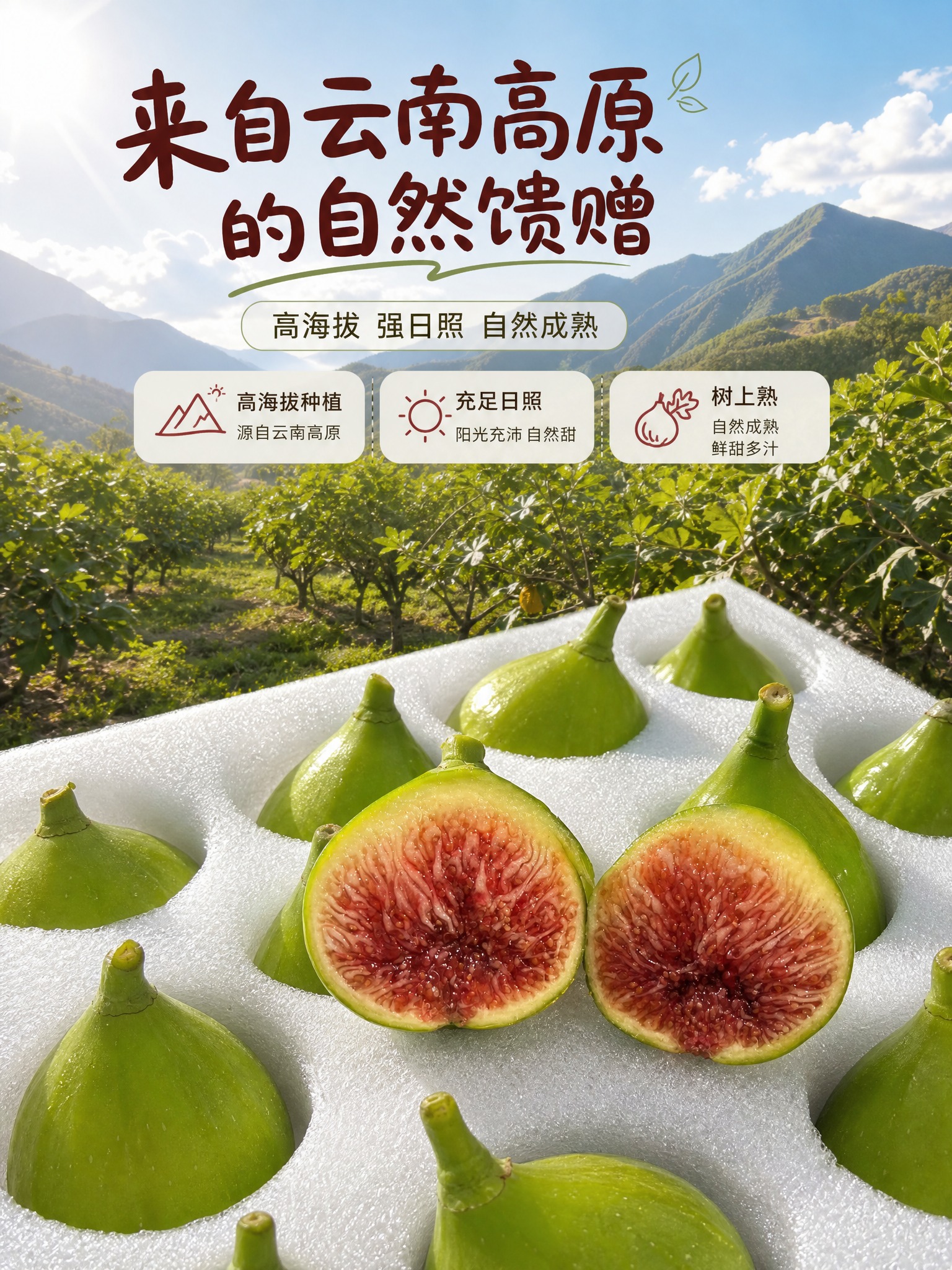 [商品] 使用【图4】【图9】云南高原自然熟无花果；保留绿色果… - 图片创意预览
