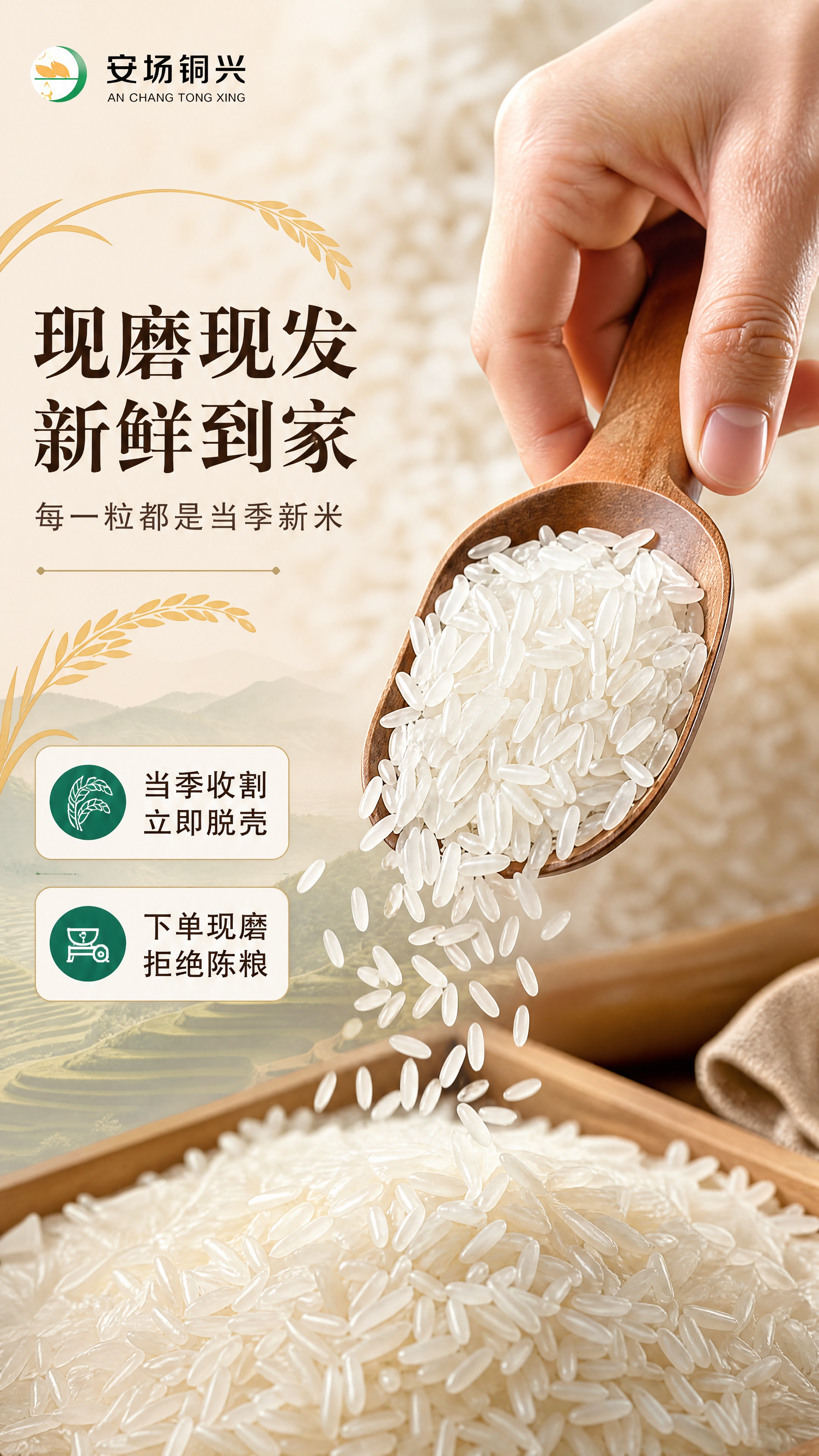[商品] 使用【图1】安场铜兴贵州梯田长粒香大米；保留米粒形态… - 图片创意预览
