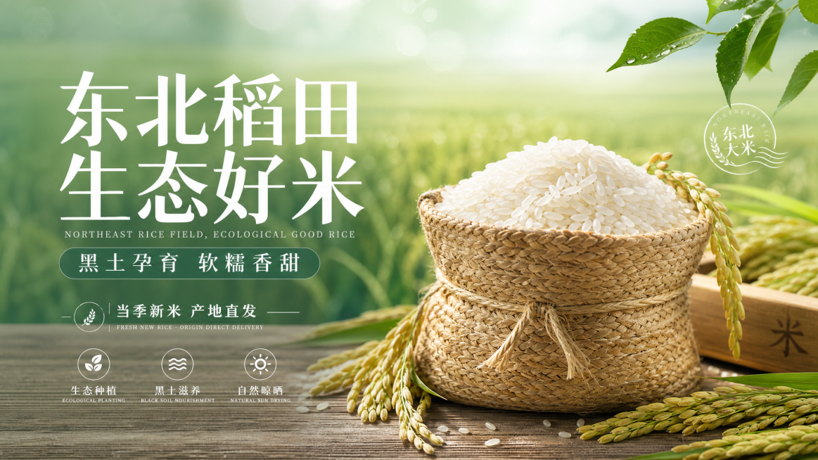 参考提供的生态农场海报风格，制作一张东北大米横版海报，浅青色调模糊稻田背景，左侧主标题大字"东北稻田 生态好米"，副标题"黑土孕育 软糯香甜"，文案"当季新米 产地直发"，搭配编织袋盛放东北大米实物图预览效果