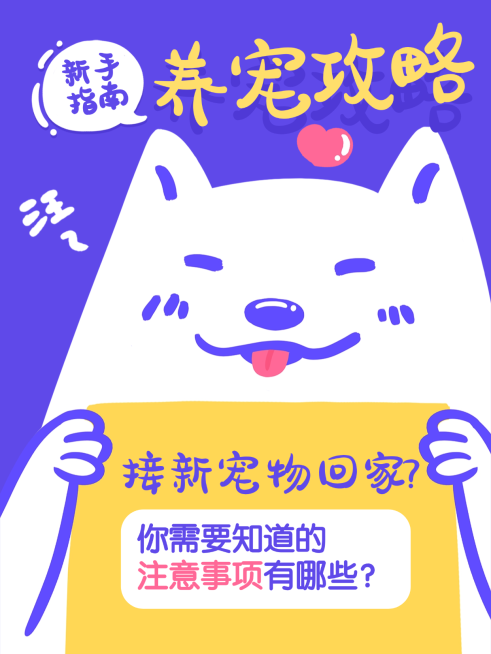 新手养宠物攻略指南分享趣味插画小红书封面预览效果