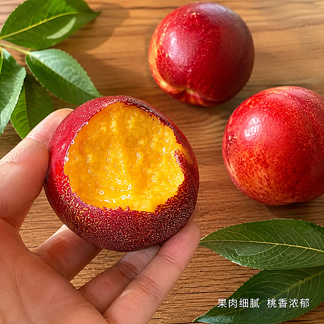[主图-4] 油桃食用场景展示图，增强代入感。[氛围风格] 生活化真实场景，自然清新。[画质] 商业摄影质感、光线柔和通透、产品清晰真实、画面干净高级。[元素] 人手拿着半块咬过的油桃，展示金黄果肉，背景是干净木质桌面，旁边放着两颗完整油桃和绿叶。保持油桃外观（物理结构、材质质感、颜色）与输入产品图绝对一致，杜绝任何变形和色差，精细化处理。商品主体占比约65%，画面满屏无边框。[光影] 窗边自然光，柔和明亮，突出果肉水润光泽。[配色] 暖木色底，红黄色鲜果，搭配绿叶自然清新。[视角构图] 第一人称抓拍视角，自然生动，景深适中。[文字版式] 右下角小字标注"果肉细腻 桃香浓郁"，清晰不抢主体。[比例分辨率] 1:1比例，2048px，2k分辨率，文字清晰锐利，画面超高清。[负向提示词] 变形，水印，文字错乱，产品图模糊，背景杂乱。
